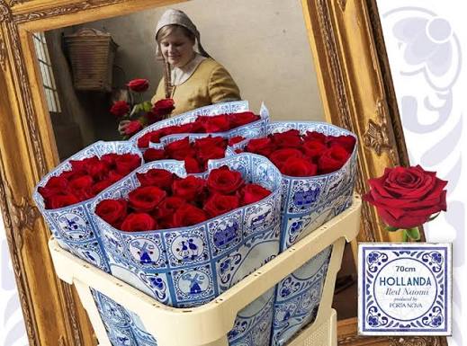 Dutch Red Naomi roses, 70 cm